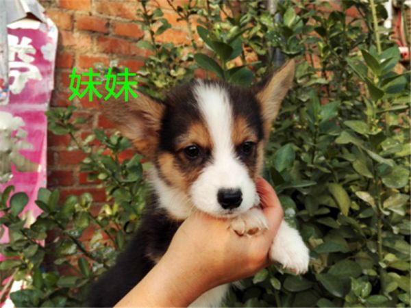 新建文件夹 (5)IMG_20151016_155021.jpg