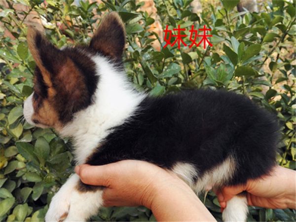 新建文件夹 (5)IMG_20151016_155345.jpg