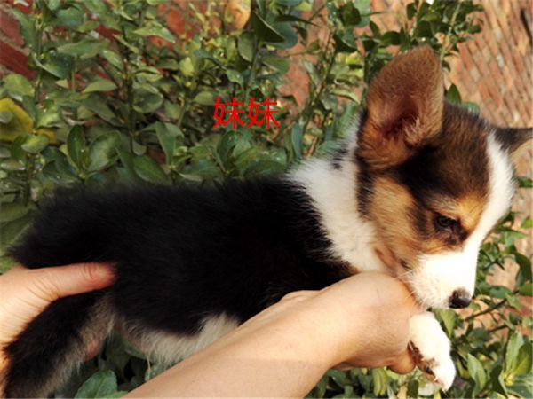 新建文件夹 (5)IMG_20151016_155842.jpg