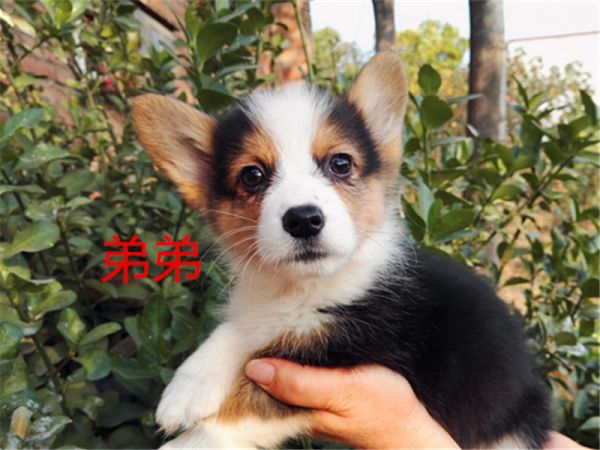 新建文件夹 (5)IMG_20151016_160057.jpg