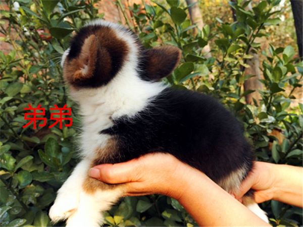 新建文件夹 (5)IMG_20151016_160107.jpg