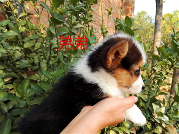 新建文件夹 (5)IMG_20151016_160122.jpg