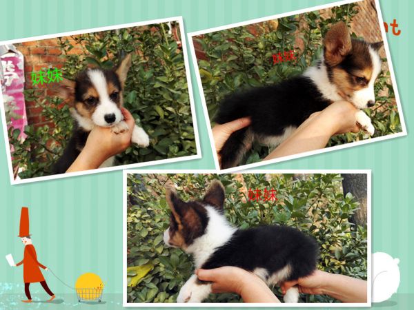 新建文件夹 (5)IMG_20151016_160122_副本.jpg