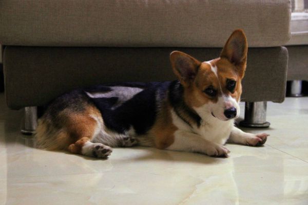 IMG_8761_副本.jpg