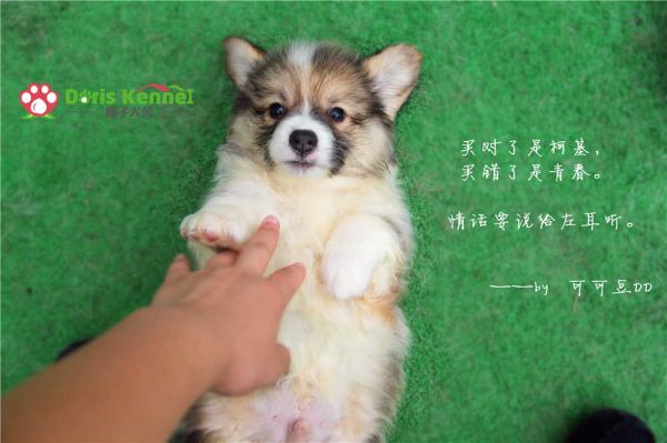 IMG_0165_副本.jpg