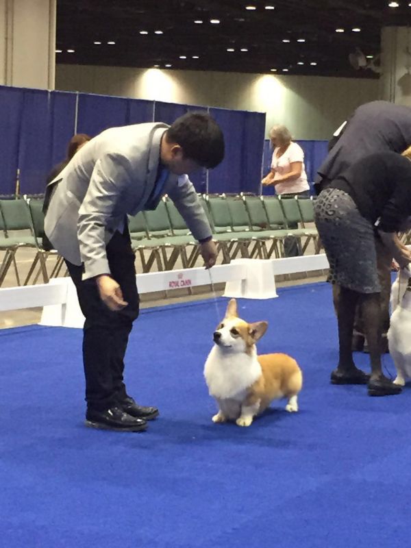 image.jpeg