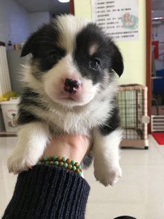 IMG_2870_副本.jpg