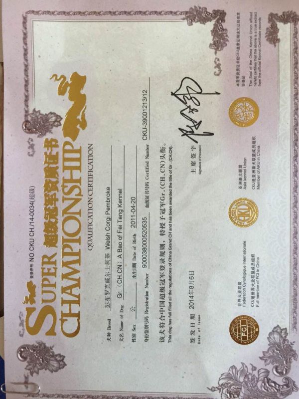 阿宝的超级登陆资质证书