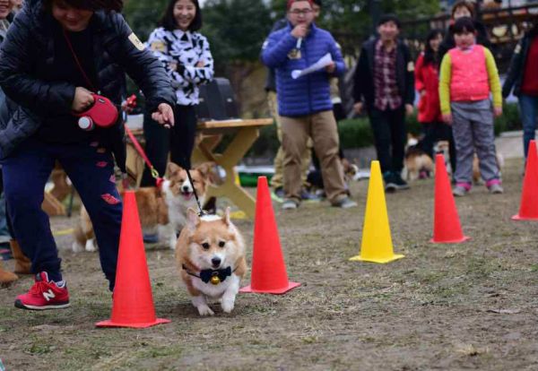PIC_20151220_160926_BDB_meitu_9.jpg