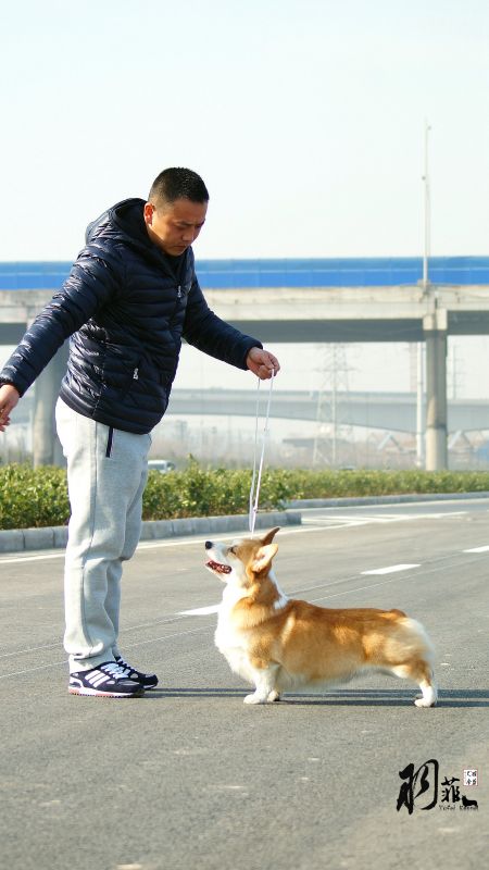 DSC06908_副本.jpg