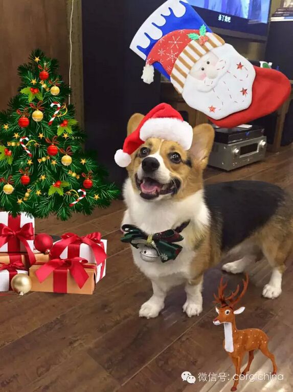 QQ截图20151224235857.jpg