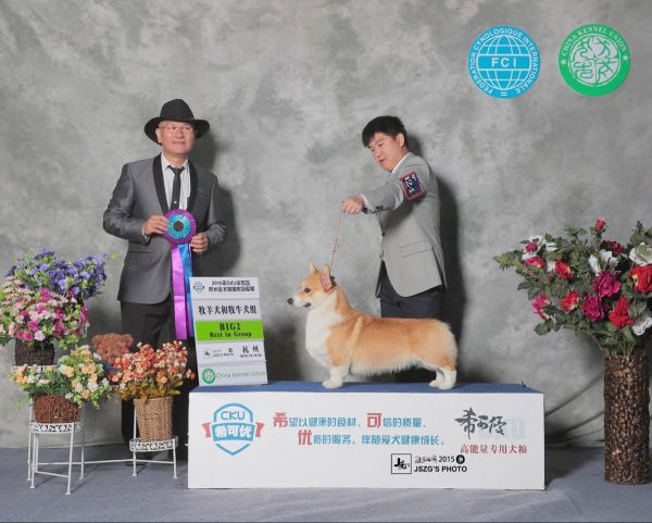 QQ图片20151227041624.jpg