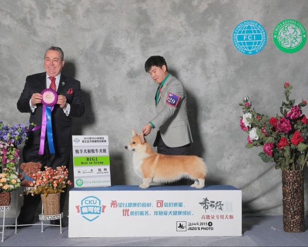 QQ图片20151227041627.jpg