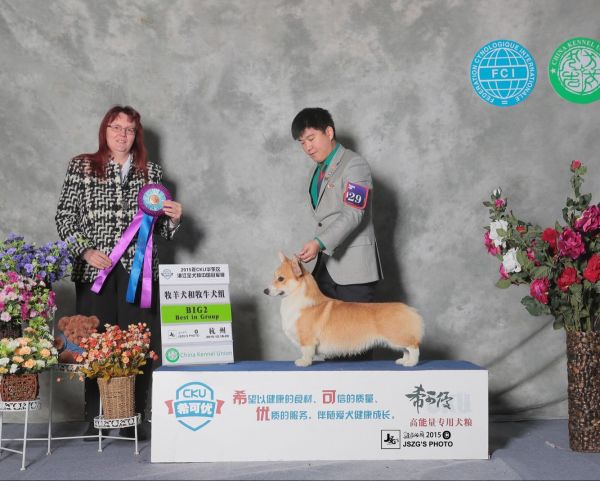 QQ图片20151227041632.jpg