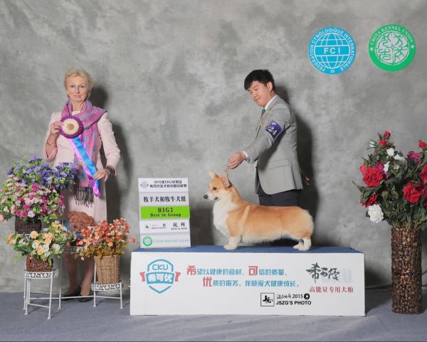 QQ图片20151227041554.jpg