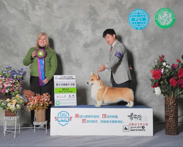 QQ图片20151227041618.jpg