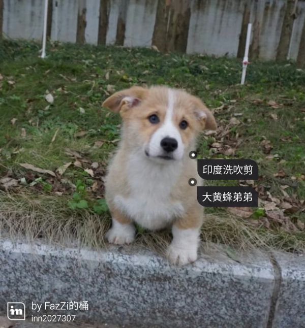 1450620195016_share.jpg