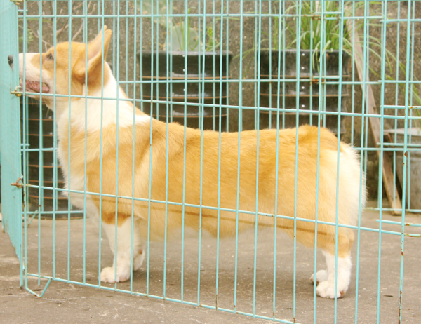 psb (3).png