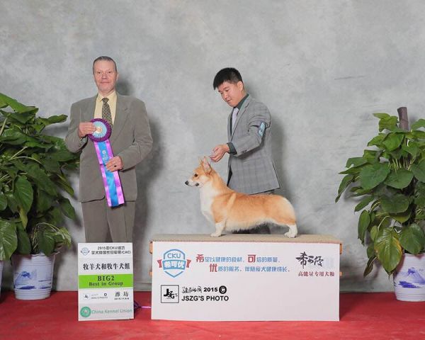 201552qq50o0mqt5pw7pj5.jpeg.thumb.jpg