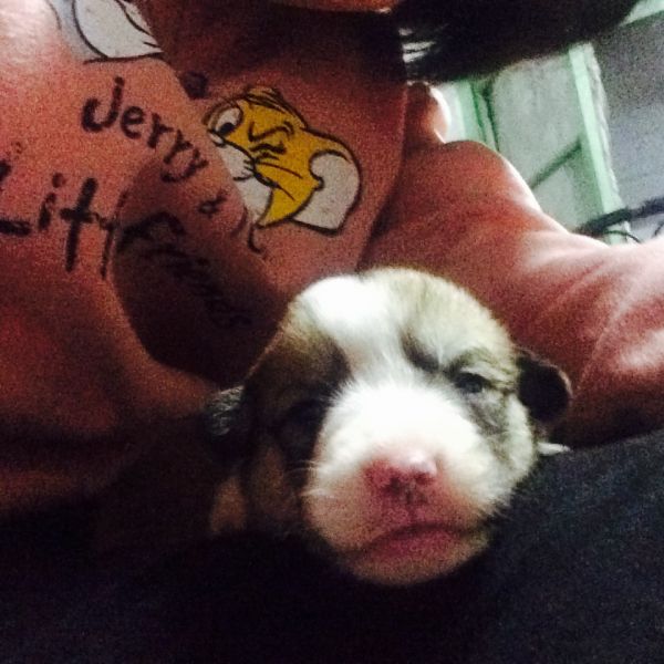 FullSizeRender 4.jpg