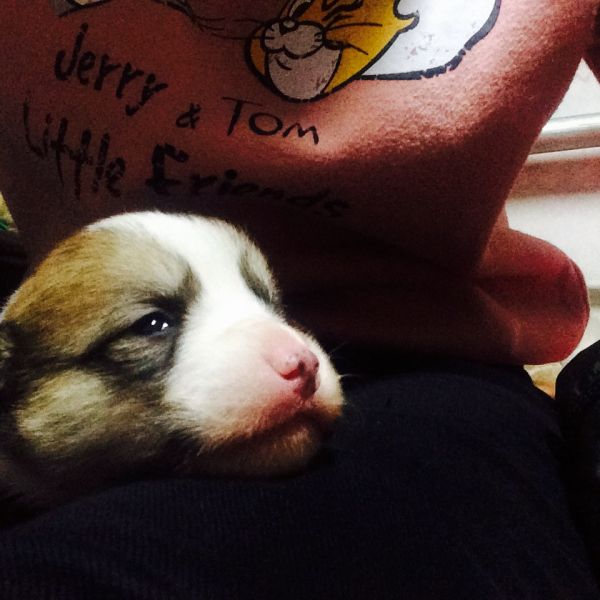 FullSizeRender 12.jpg