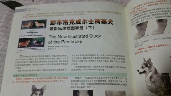 ef2c2a34349b033b32fb630813ce36d3d439bdf3 (1).jpg