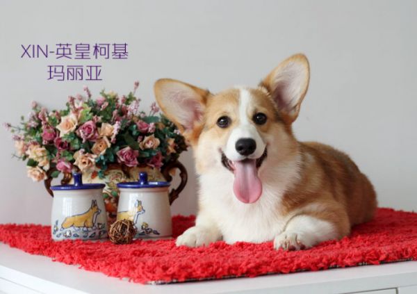 image.jpeg