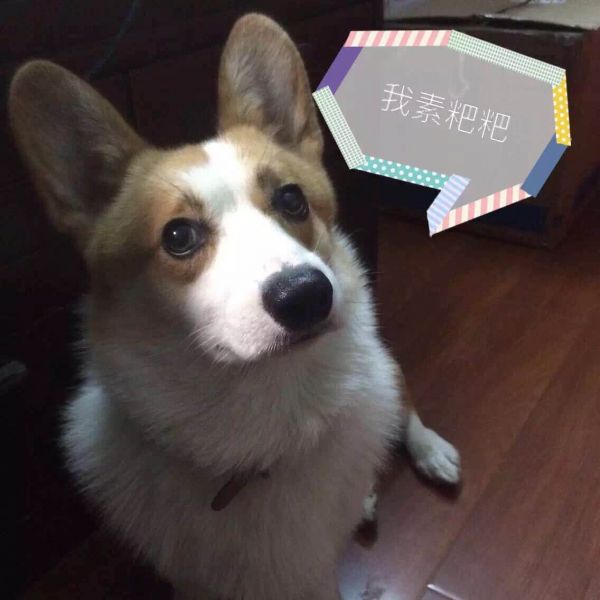 image.jpeg