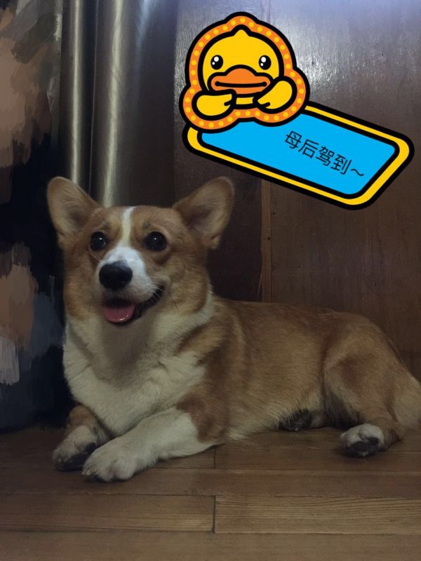 image.jpeg