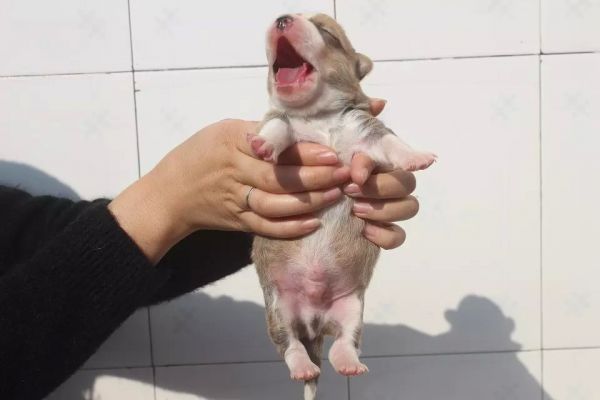 弟弟3.jpg