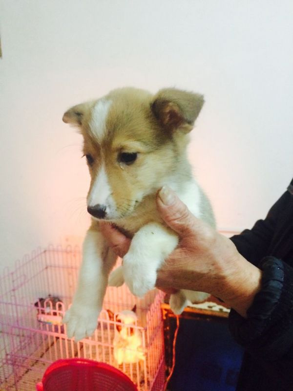 QQ图片20151207121847.jpg