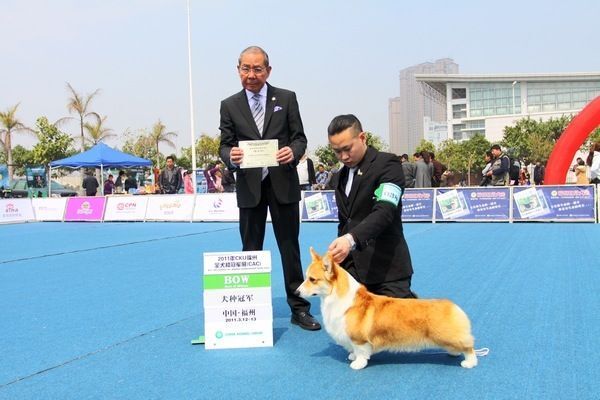 狗爸（克鲁尼直子-瑞瑞）