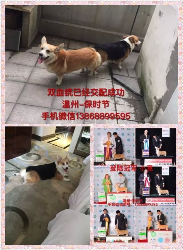 照片 002_副本.jpg