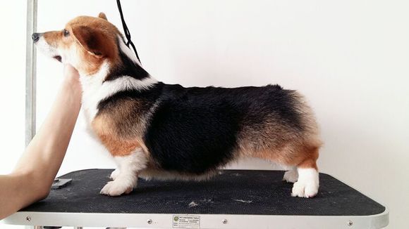 e652544e9258d1097f130ab1d658ccbf6d814dc3.jpg