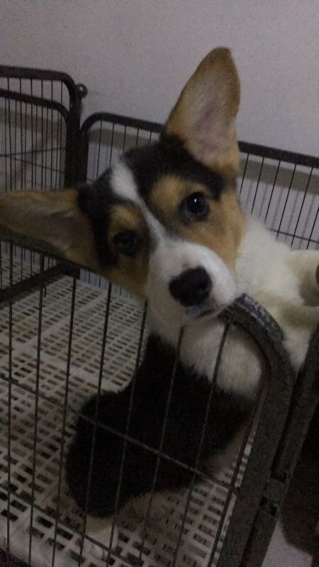 QQ图片20160121192107.jpg