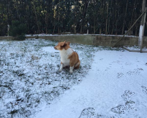 AOPD8`BR3B[%UZ7SIPR7WNO.jpg