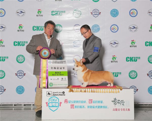 JS067467-2000 (1)_副本.jpg