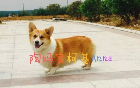 妈妈