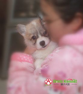 IMG_1405_副本.jpg