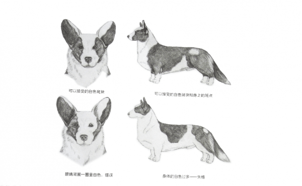 QQ图片20160216190428.png