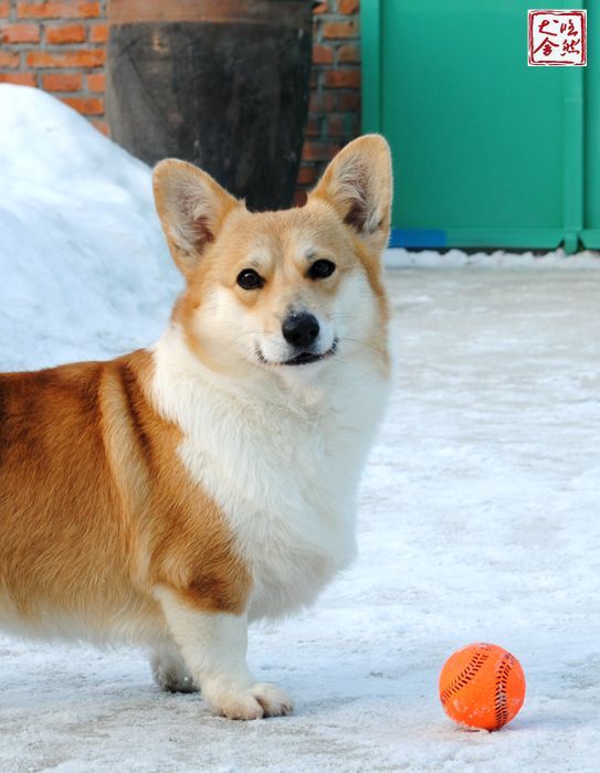 DSC_5002_副本_副本.jpg
