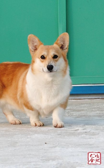 DSC_5034_副本_副本.jpg