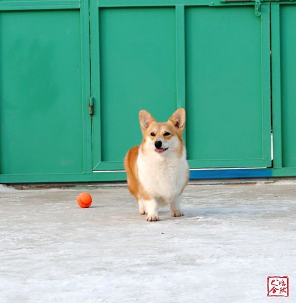 DSC_5035_副本_副本.jpg
