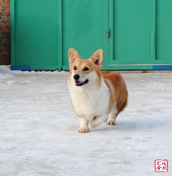 DSC_5040_副本_副本.jpg