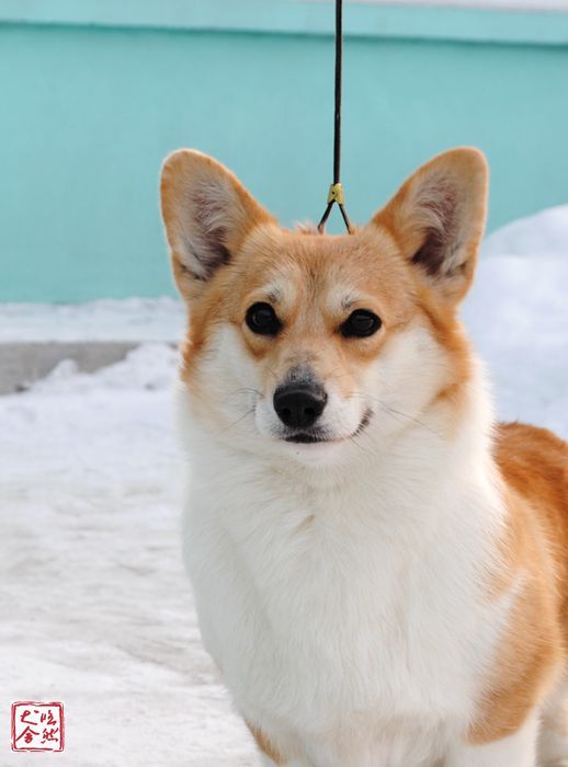 DSC_5114_副本_副本.jpg