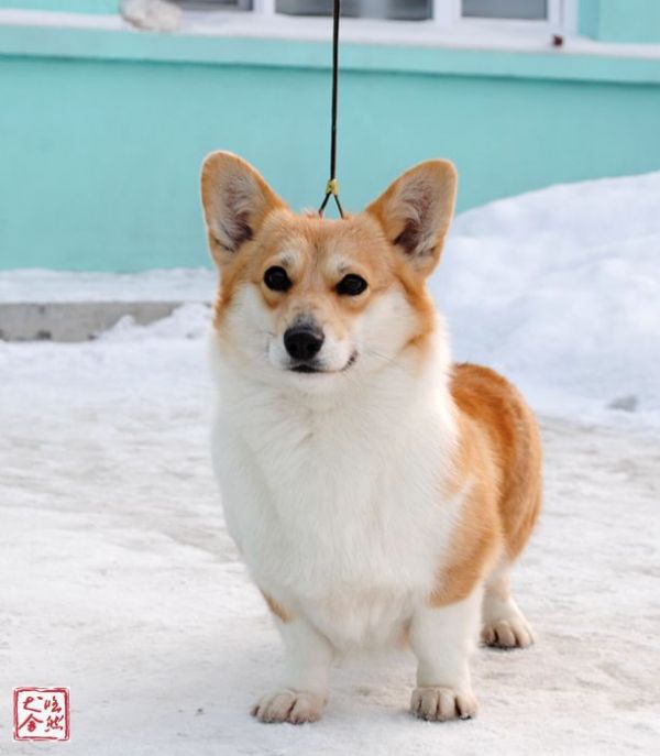 DSC_5115_副本_副本.jpg