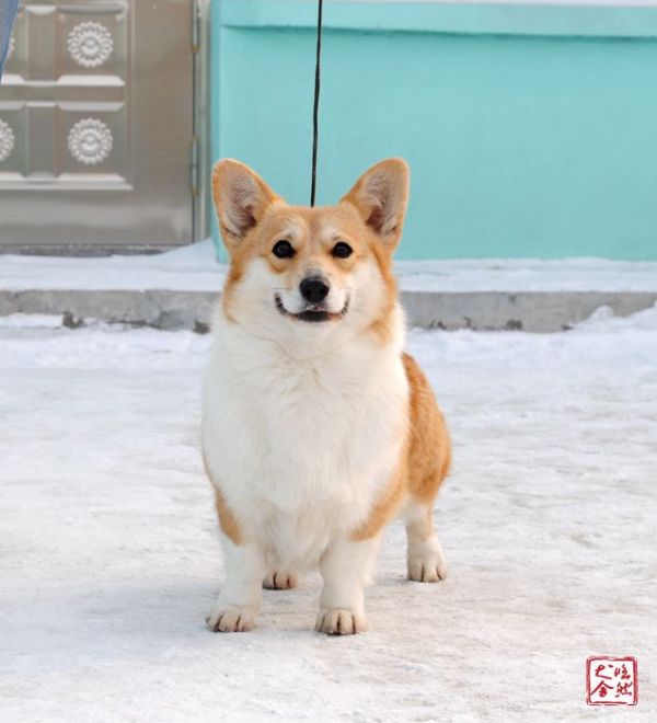 DSC_5122_副本_副本.jpg