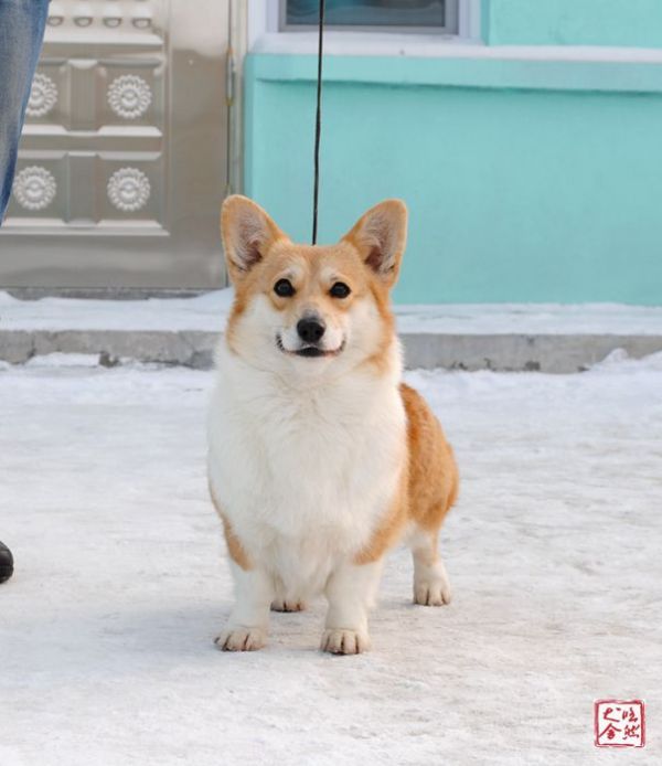 DSC_5126_副本_副本.jpg