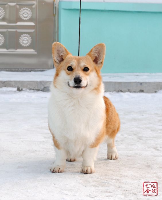 DSC_5126_副本_副本_副本.jpg