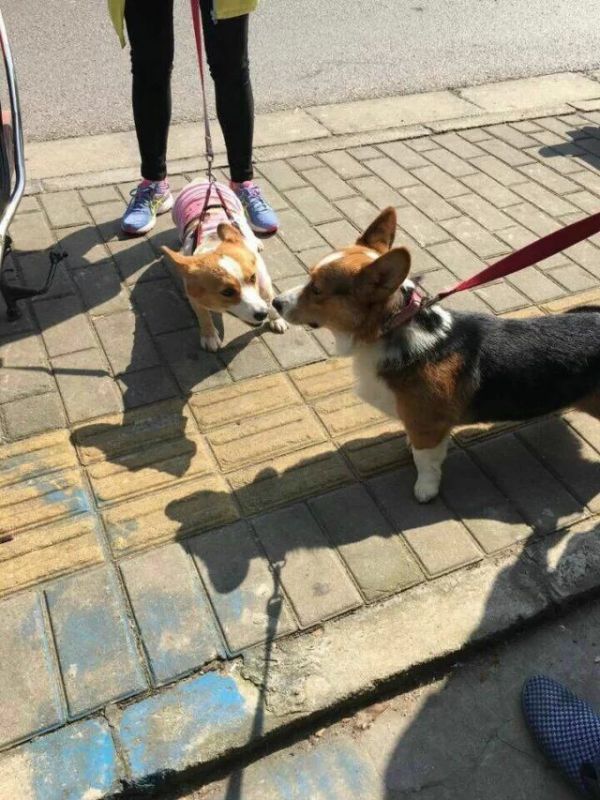 QQ图片20151230130626.jpg